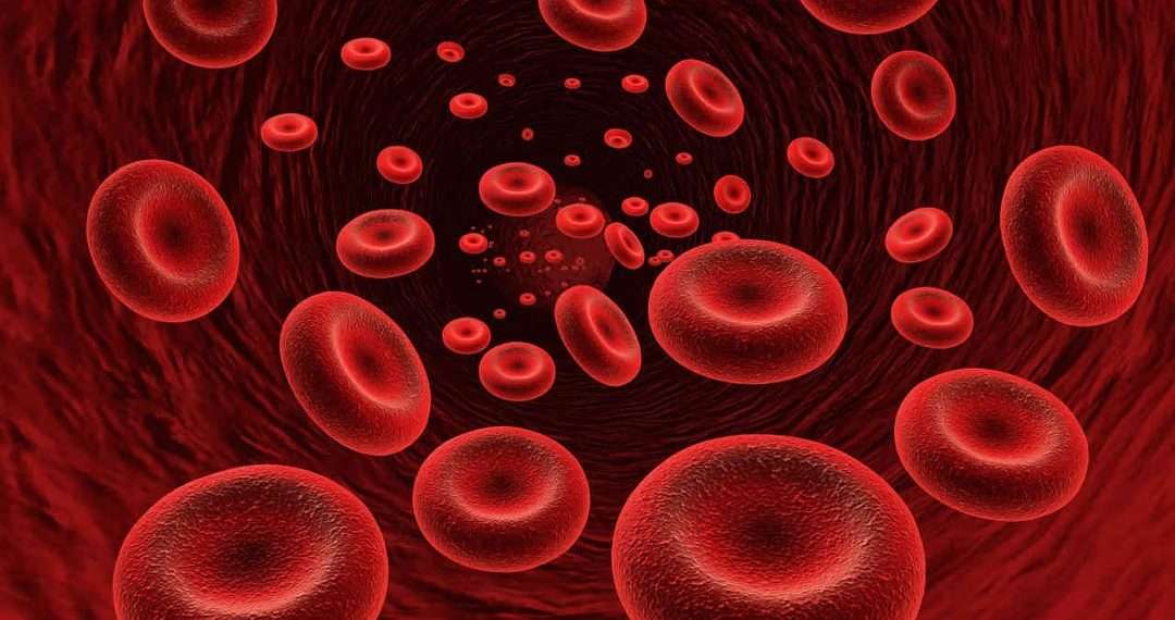 Advierten que crecen los casos de cáncer en la sangre en Argentina y reclaman mejor acceso a tratamientos